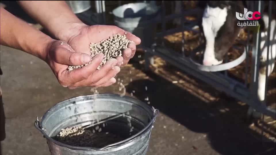 البرنامج الثقافي في خلقه شؤون - الموسم الثاني - الحلقة 1