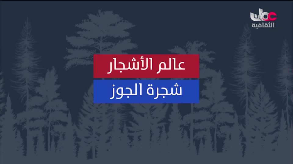 البرنامج الثقافي - عالم الأشجار