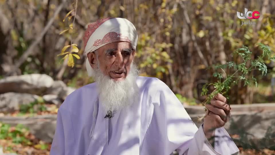 المسلسل العماني / القافر