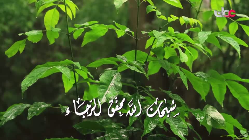 اذان المغرب