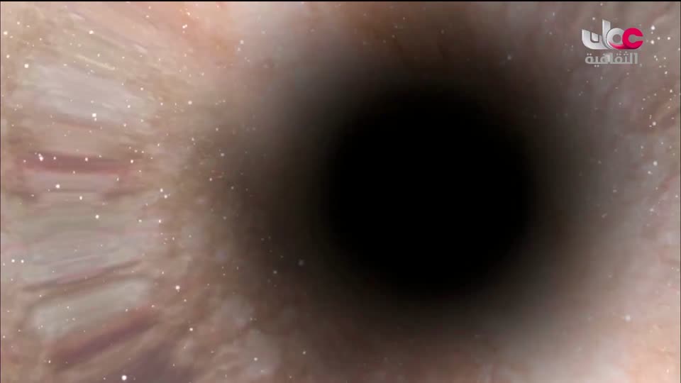 البرنامج الثقافي الآثار الاسلامية في الأندلس