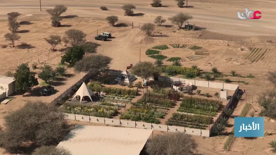 اخبار الحادية عشر