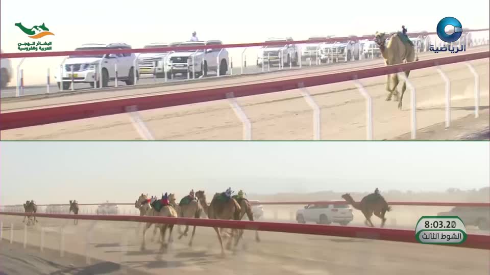 مهرجان البشائر التاسع لسباقات الهجن 2026 - الحلقة 11