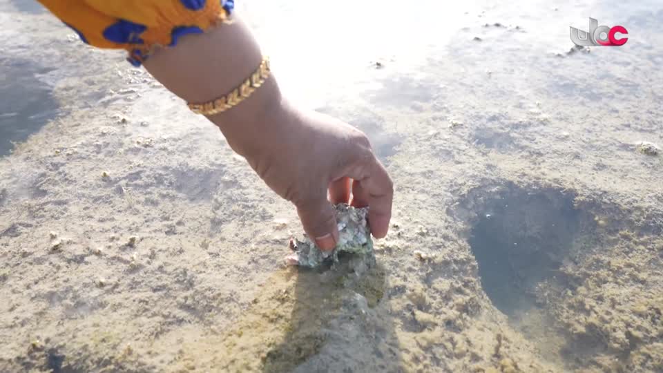 برنامج - مناشدة - الموسم الثاني - الحلقة 5