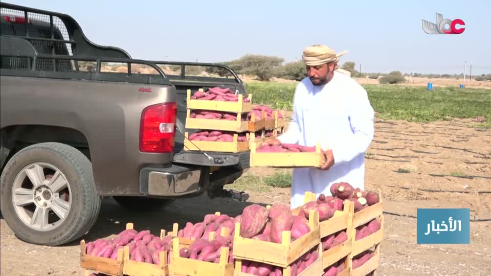 اخبار الحادية عشر