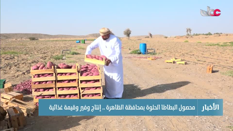 أخبار الحادية عشرة - الإثنين 23 فبراير 2026م