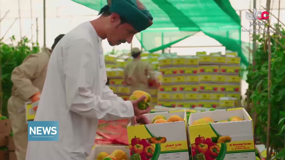 اخبار اللغة الانجليزية