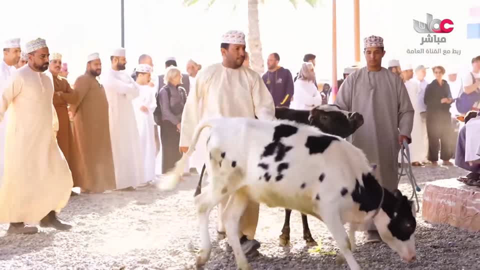 برنامج - خير يبقى - الحلقة 8