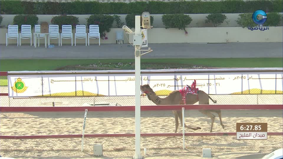 السباق العام للمهرجان السنوي لسباقات الهجن الاهلية - الفليج 2026 - الحلقة 2