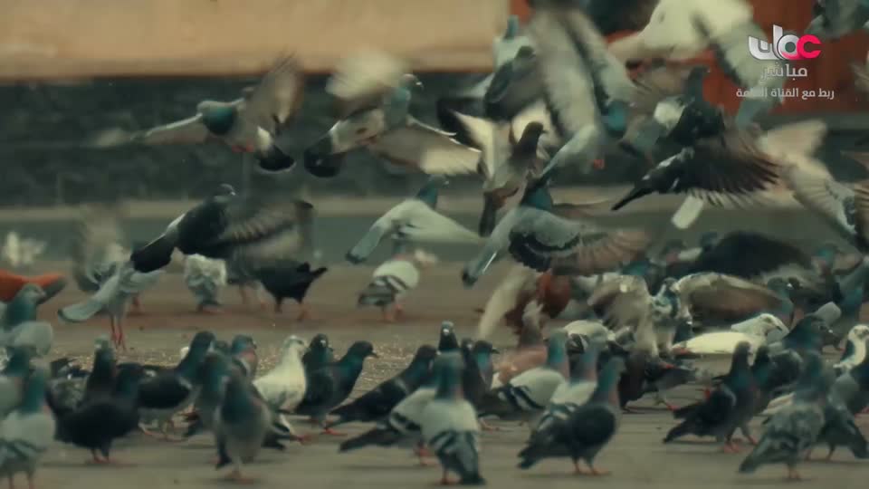 برنامج عوافي - الموسم التاسع - الحلقة 9