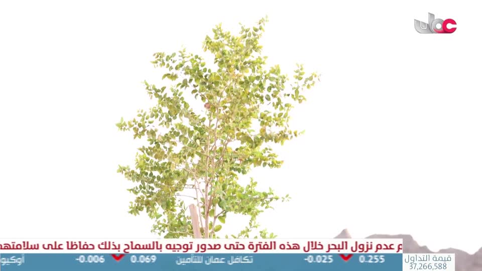 برنامج - ولنا أثر - 2026 - الحلقة 16