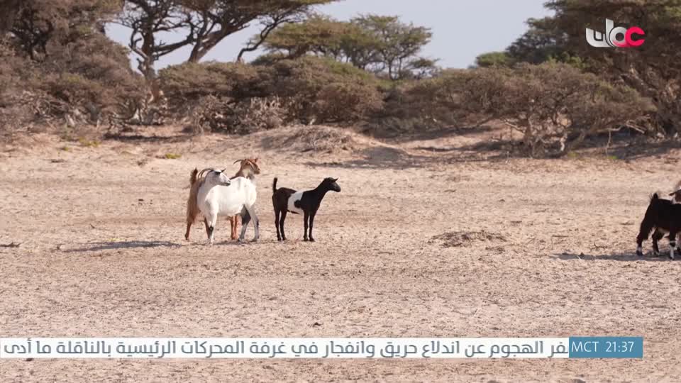 برنامج - مناشدة - الموسم الثاني - الحلقة 12