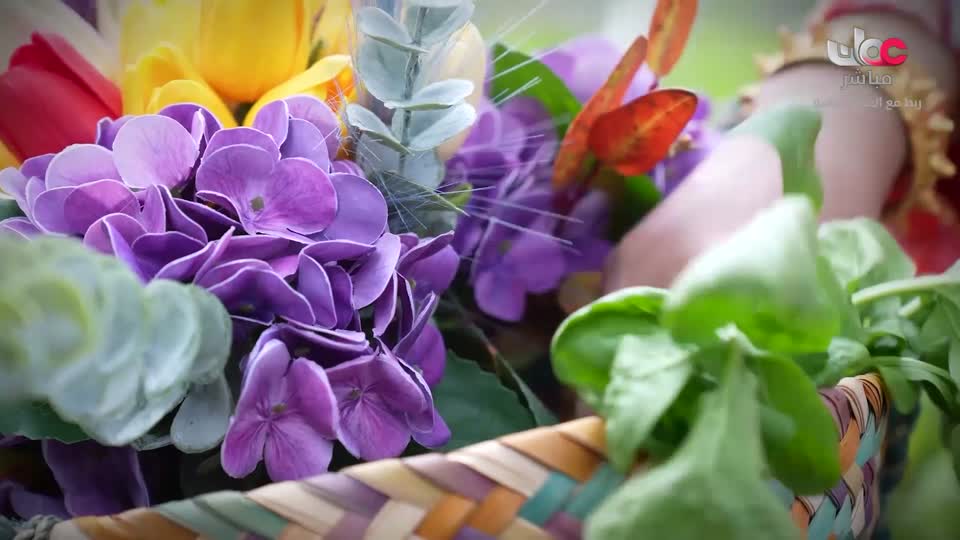 برنامج - ترياق - الموسم السادس - الحلقة 14