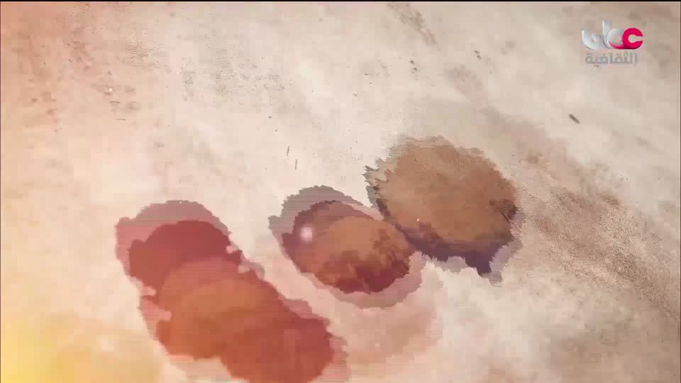 البرنامج الثقافي - الزامل - الحلقة 1