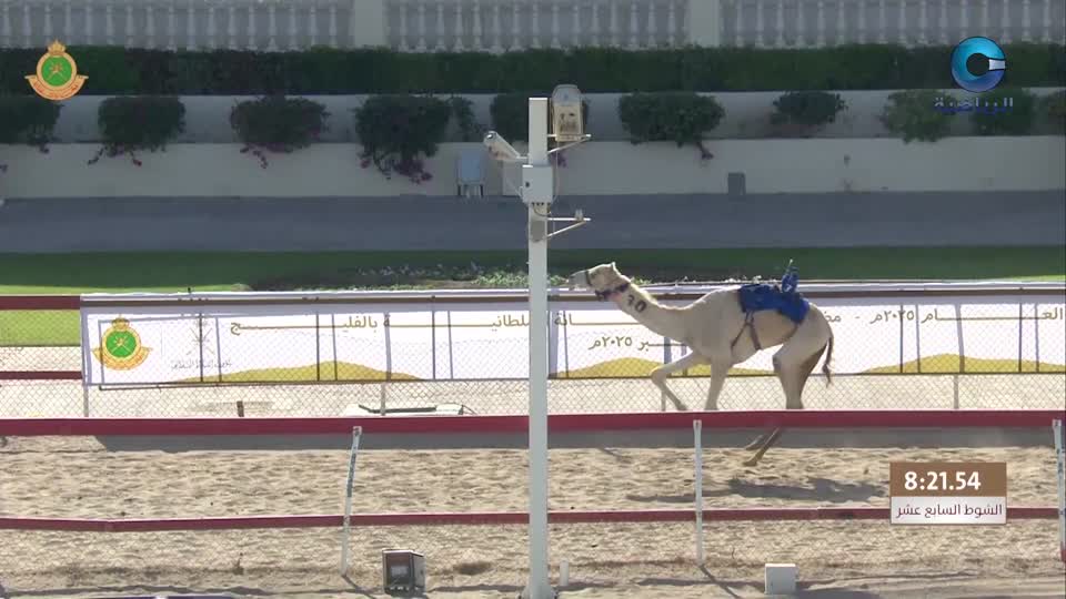 السباق العام للمهرجان السنوي لسباقات الهجن الاهلية - الفليج 2026 - الحلقة 6