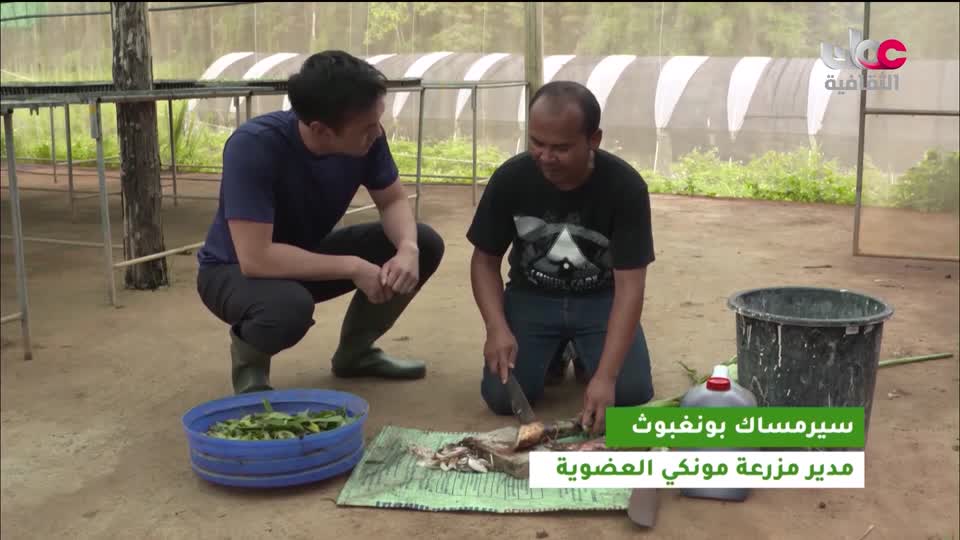 البرنامج الثقافي - المسافر البيئي - الحلقة 1