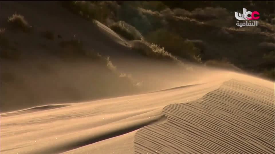 البرنامج الثقافي في خلقه شؤون - الموسم الثاني - الحلقة 16