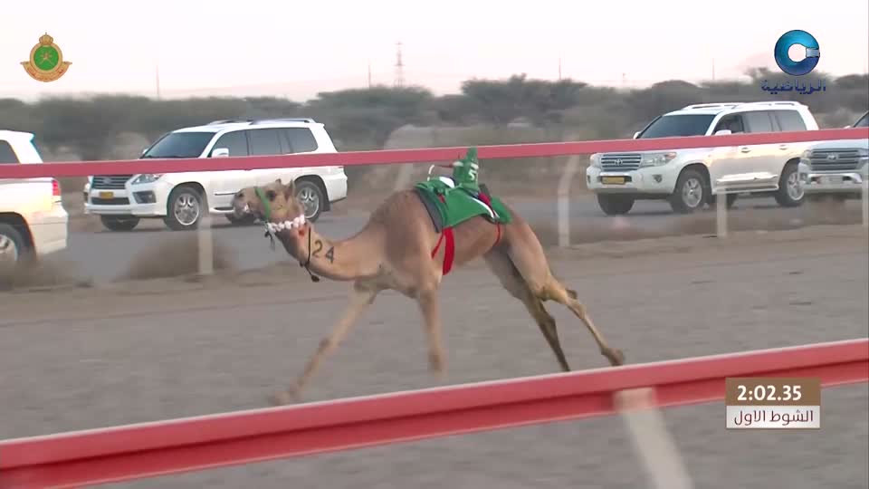 بطولة غرب آسيا الأولى لمنتخبات الرجال للكرة الطائرة - البحرين 2025 - الحلقة 16