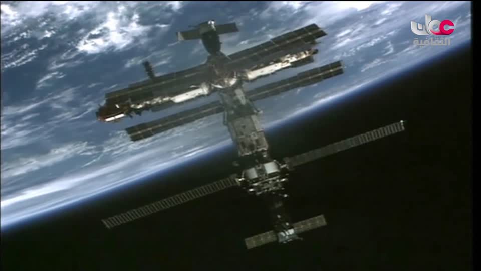 البرنامج الثقافي - عالم الأشجار