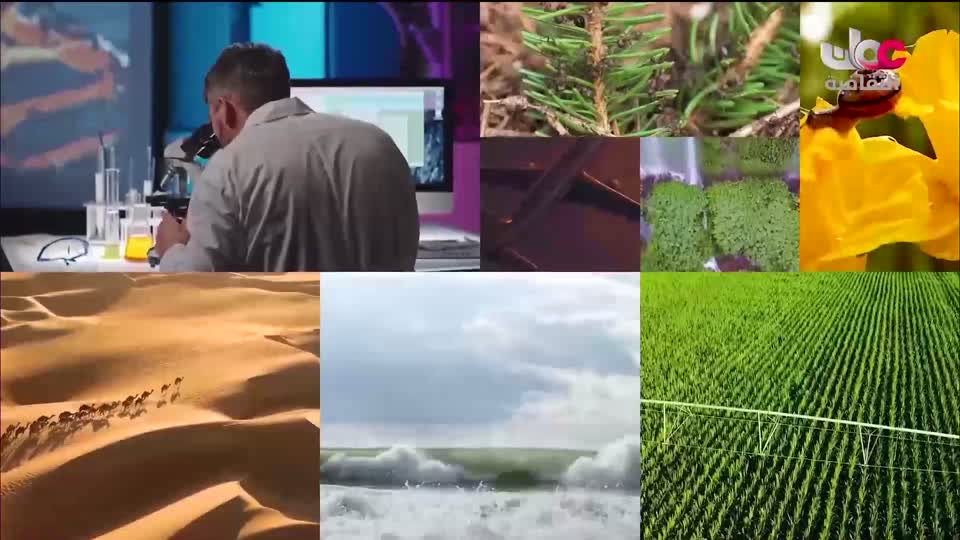 البرنامج الثقافي - سحر البيان - الحلقة 16