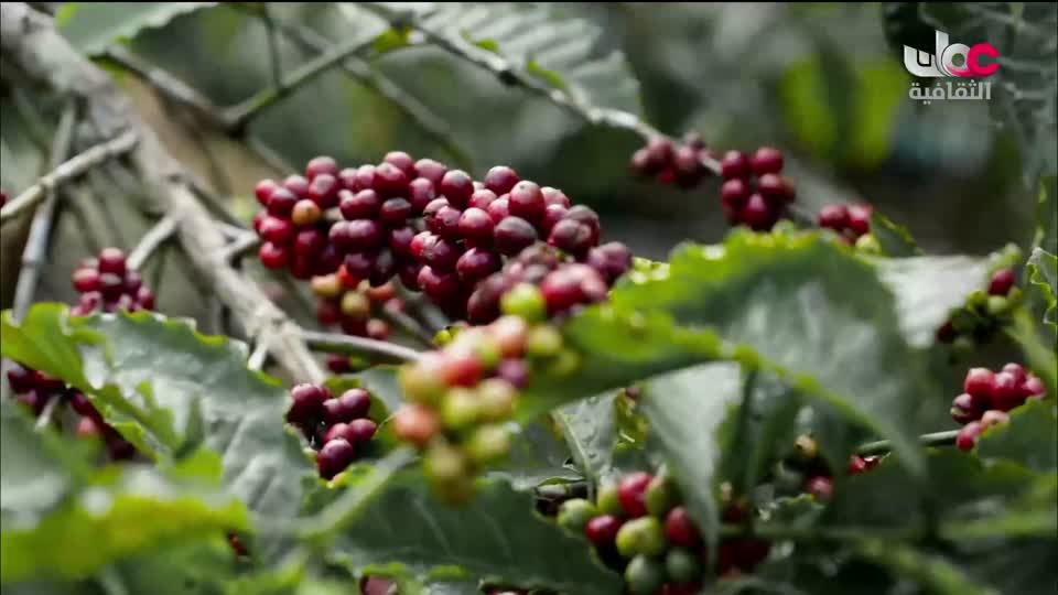 البرنامج الثقافي - اختراعات عظيمة - الحلقة 6