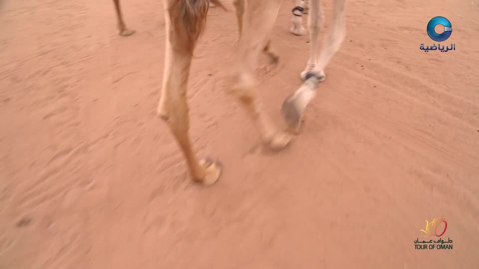 ملخص طواف عمان 2026 - الحلقة 2