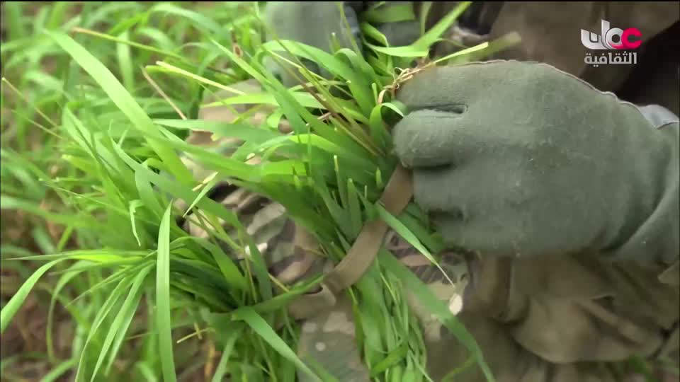 البرنامج الثقافي - هل تعلم ج2 - الحلقة 18