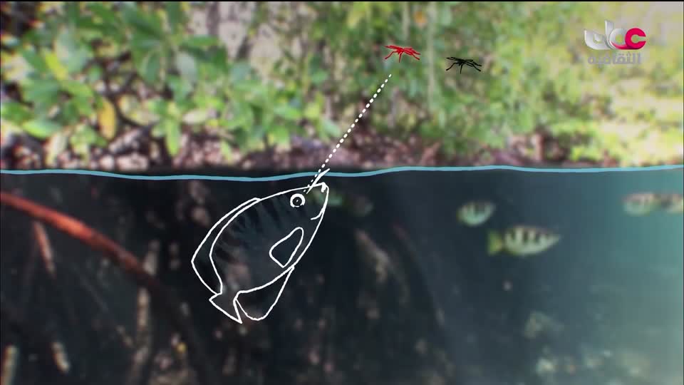 برنامج مطرح ميناء الحكاية وذهب المواسم - الحلقة 3