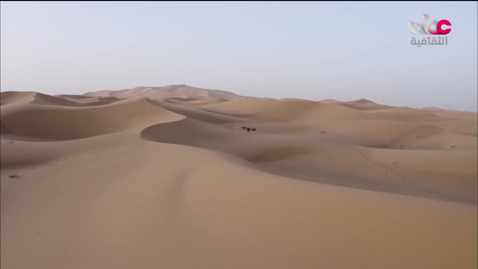 البرنامج الثقافي - عالم الأشجار