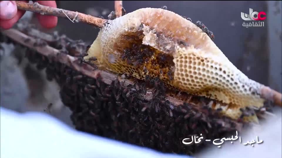 البرنامج الثقافي - في رحاب الكلمة - الحلقة 18