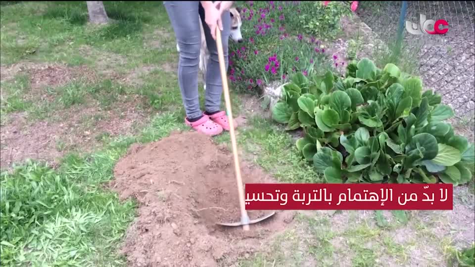 البرنامج الثقافي - الفضاء الشاسع - الحلقة 18