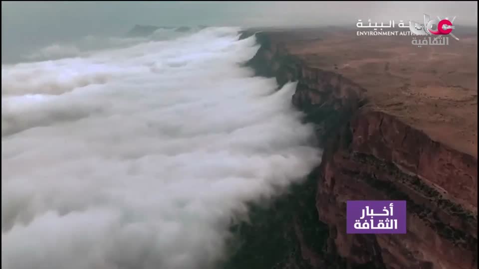 Show details-أخبار الثقافة - الأثنين 9 مارس 2026م