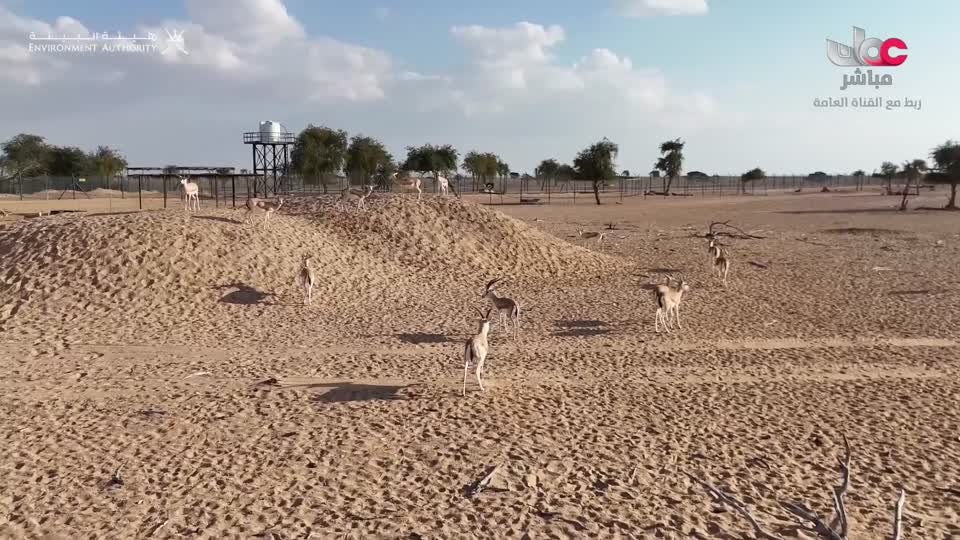 برنامج الأطفال نور - الموسم الرابع - الحلقة 20