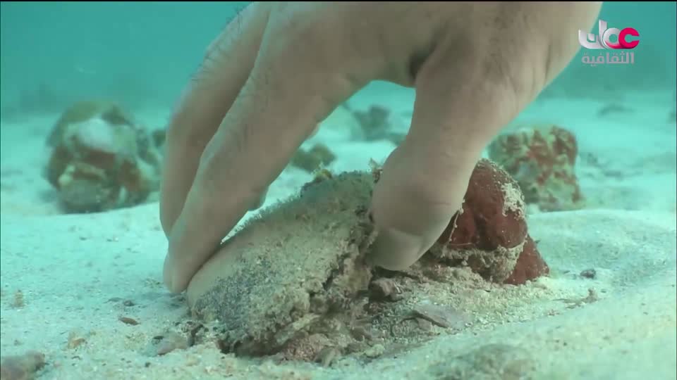 البرنامج الثقافي في خلقه شؤون - الموسم الثاني - الحلقة 20