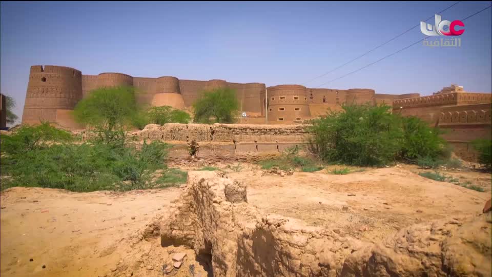 البرنامج الثقافي - عالم الأشجار