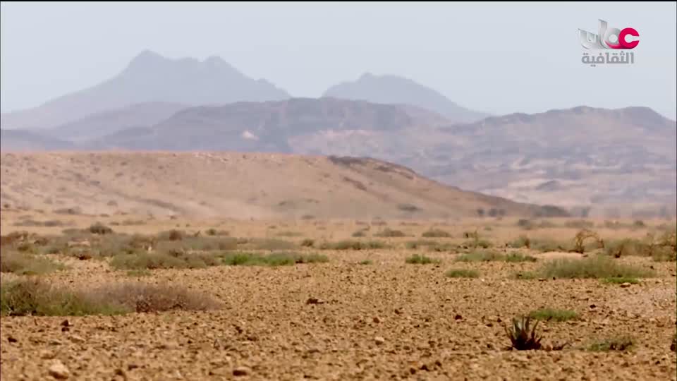 برنامج - فيتامينات - الحلقة 47