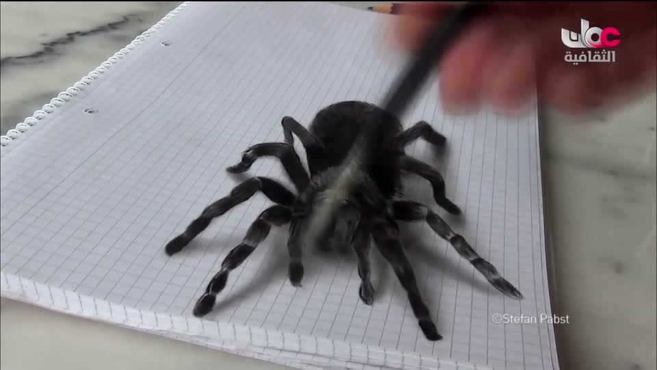 برنامج _ روائع من اليابان - الحلقة 58