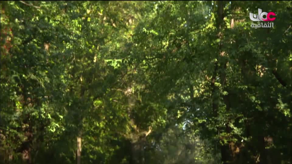 برنامج/ روائع اليابان