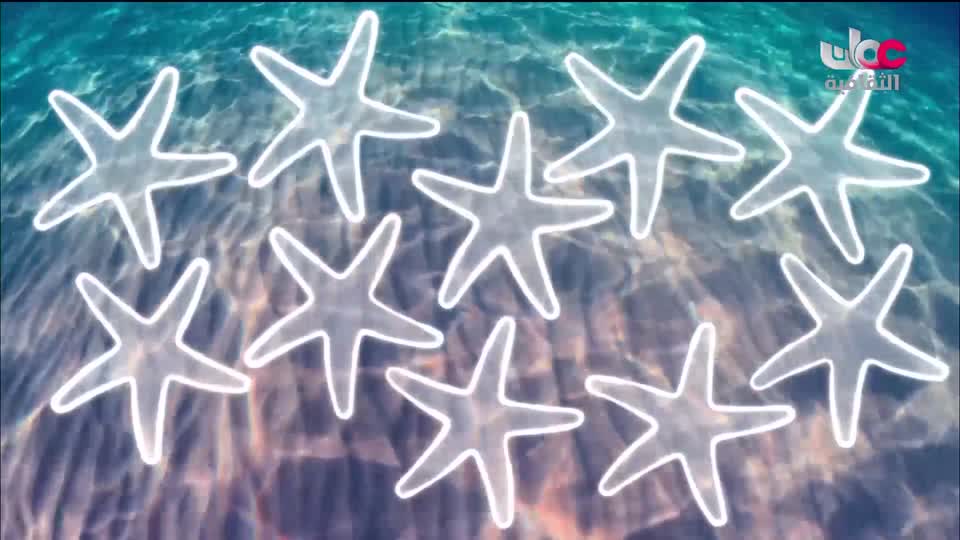 برنامج - موائد الاجداد - الحلقة 3