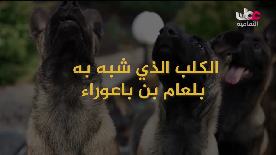 البرنامج الثقافي الديني - حيوانات غيرت مجرى التاريخ - الحلقة 21