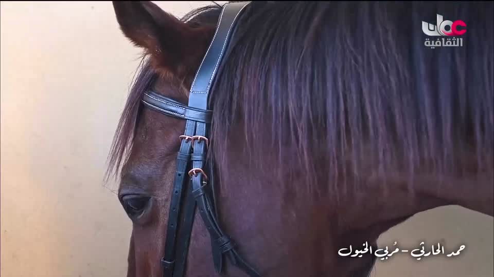 برنامج _ مدن من نور - الحلقة 21