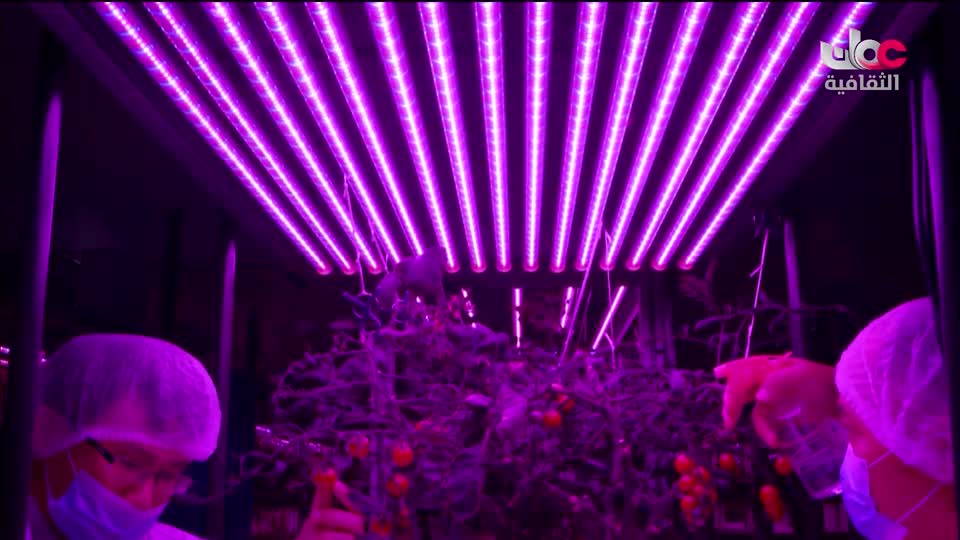 البرنامج الثقافي المستقبل الحلم - الحلقة 3