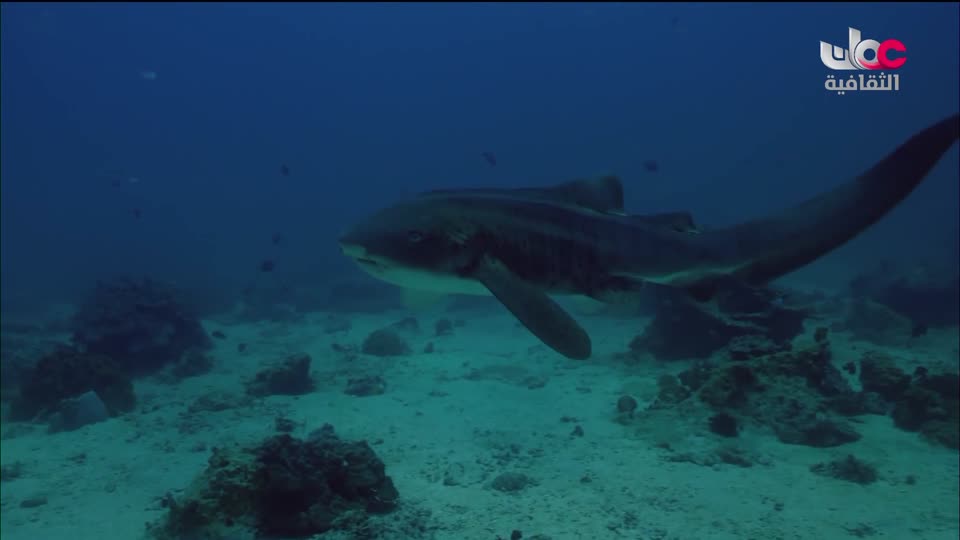 برنامج الوقف حياة - الحلقة 22