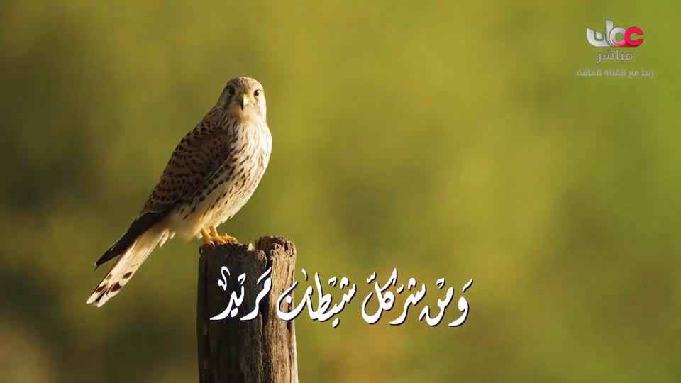 دعاء رمضان 2026