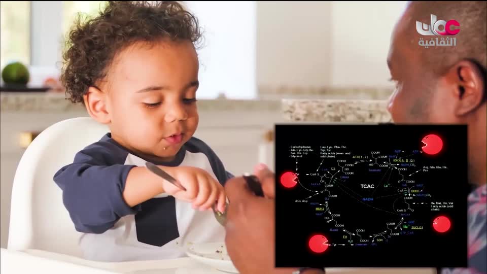 البرنامج الثقافي - علوم الأرض - الحلقة 30