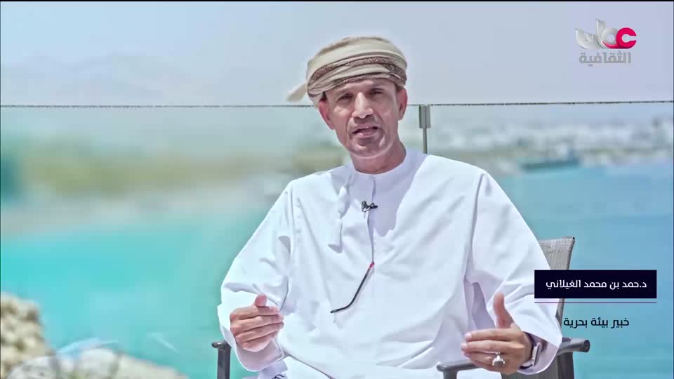 الفيلم الوثائقي - الحوت الأحدب