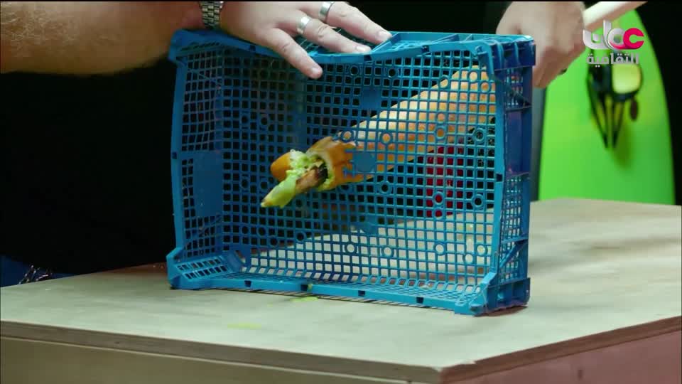 البرنامج الثقافي - أسرار المحيط 2026 - الحلقة 14