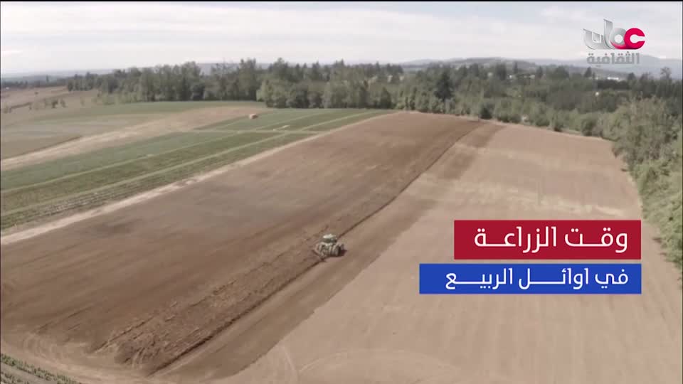 وثائقيات من روسيا - الحلقة 8