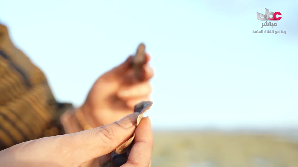 برنامج/مناشدة