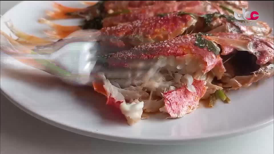 البرنامج الثقافي طرقات وعرة - الحلقة 2